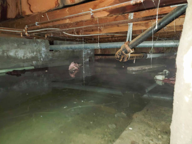 Best Ceiling water damage repair  in Summerside, OH