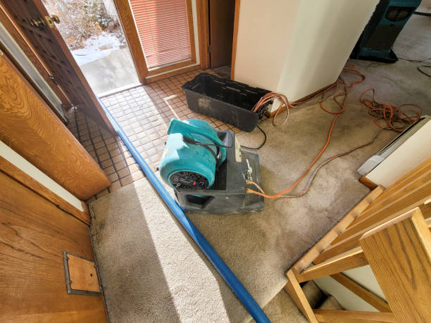 Best Ceiling water damage repair  in Summerside, OH