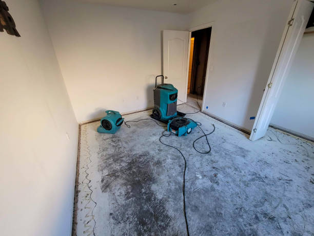 Best Carpet water damage restoration  in Summerside, OH
